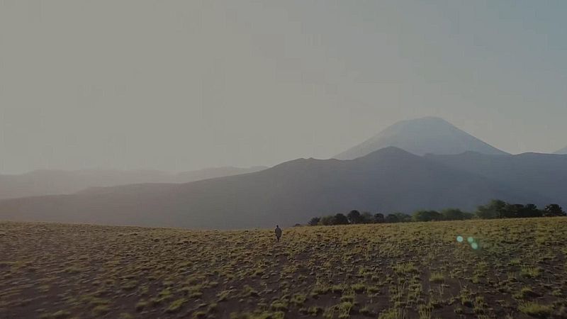 M�sicas posibles - Temps - 04/04/26 - Escuchar ahora