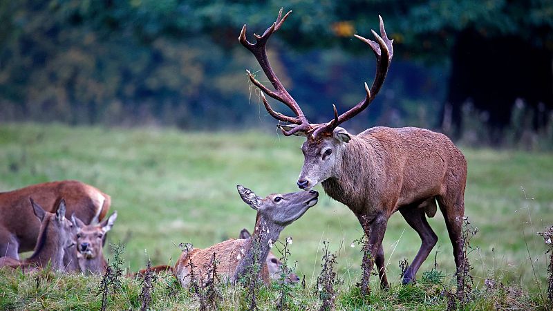 La antesala - Alberto Saiz - 14/03/26 - Escuchar ahora