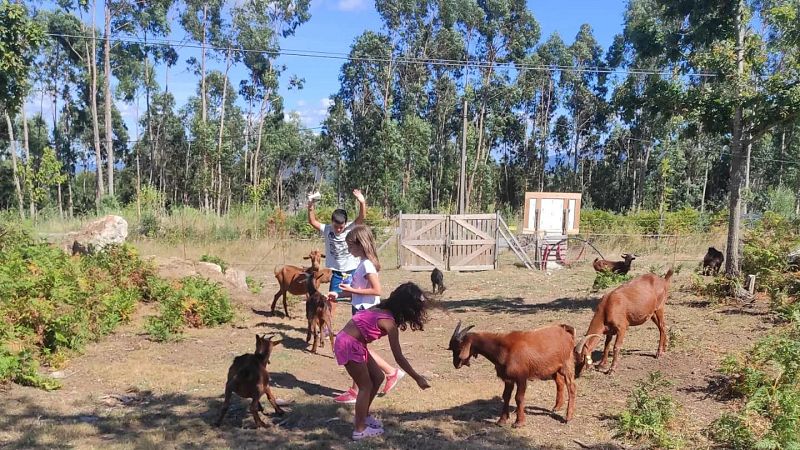 Reportajes Emisoras - A Coruña - Una clase en el monte - 13/03/26 - Escuchar ahora