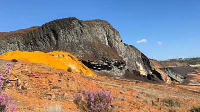 Entre Tierras: La Faja Pirítica, ciencia y arte en un mural