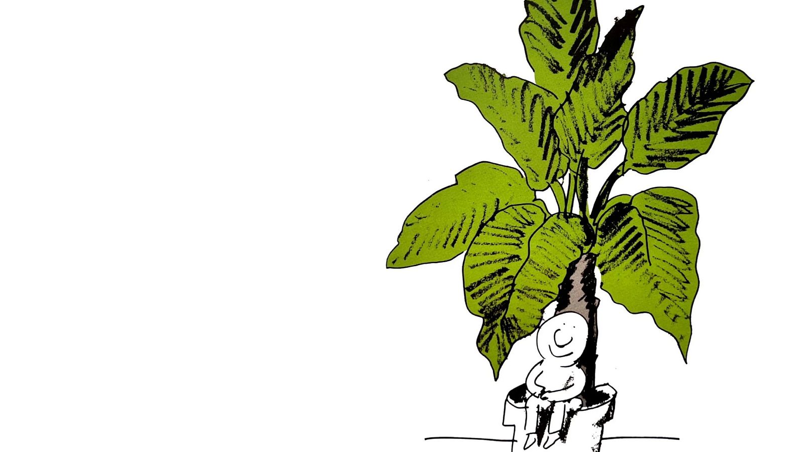 Amordiscos - En el jard�n