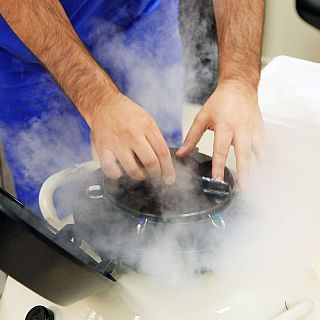 Núria Terribas: "Els homes poden demanar la destrucció del semen congelat, en canvi elles, amb els òvuls, no"