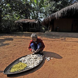 Mujeres rurales que lideran el cambio en India