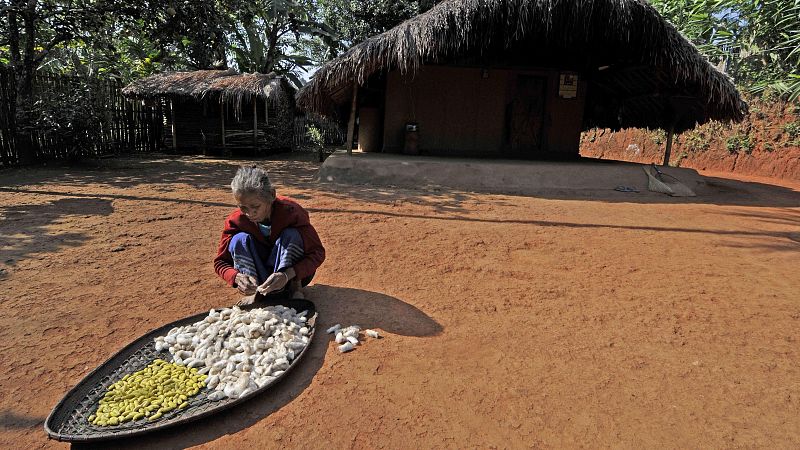 Cinco continentes - Mujeres rurales que lideran el cambio en India - Escuchar ahora