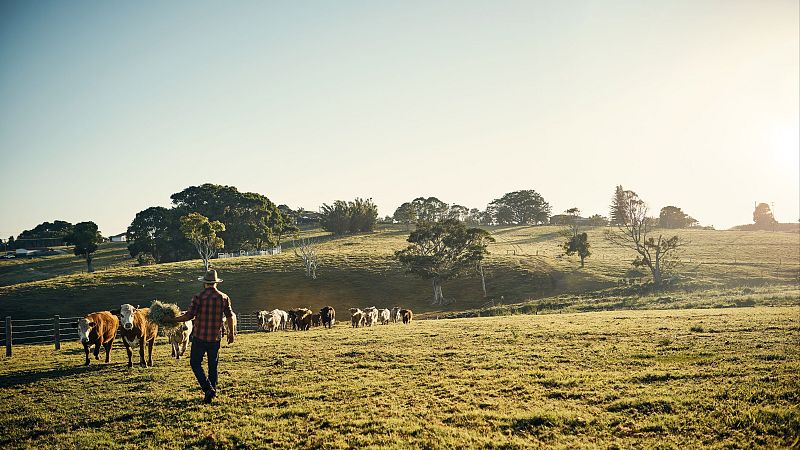 Mundo rural - Suelo rústico, cetrería y trufiturismo - 13/03/26 - Escuchar ahora