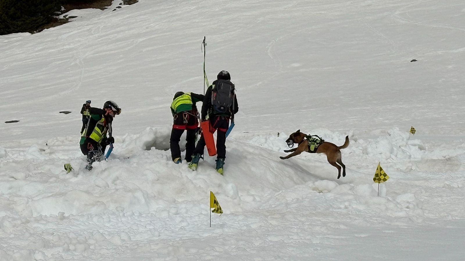 Simulacre d’allau a La Molina per reforçar la coordinació dels equips d’emergència | Escoltar
