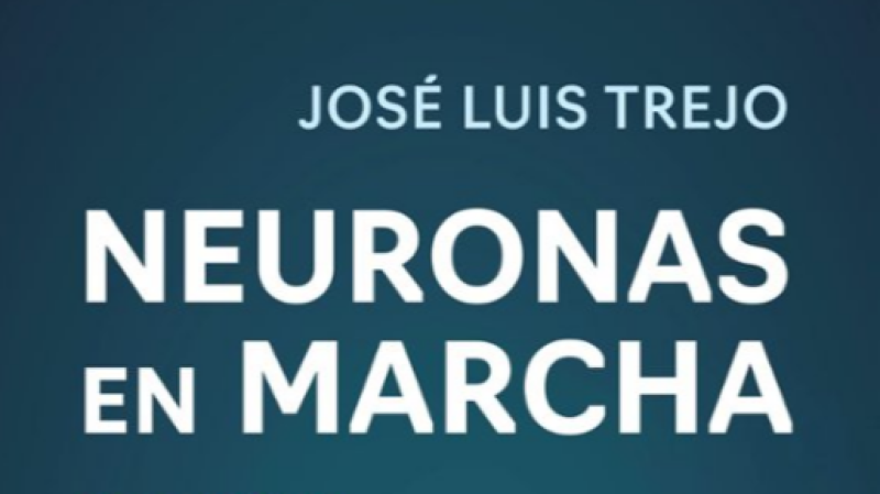 L'Entrellat - José Luis Trejo: "El que podem fer avui pel nostre cervell també pot beneficiar als nostres fills i nets" - L'Entrellat | Escoltar