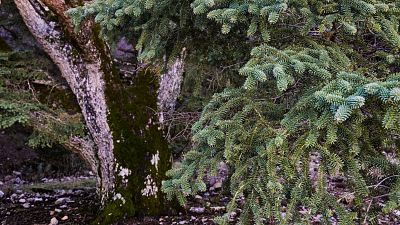 Turismo rural: un paseo por el campo español