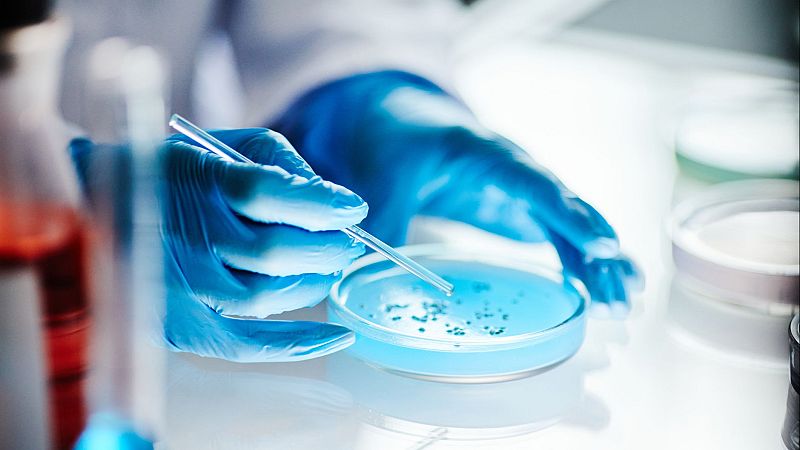 Más investigación sobre la microbiota y el SIBO - Marca España | Escuchar