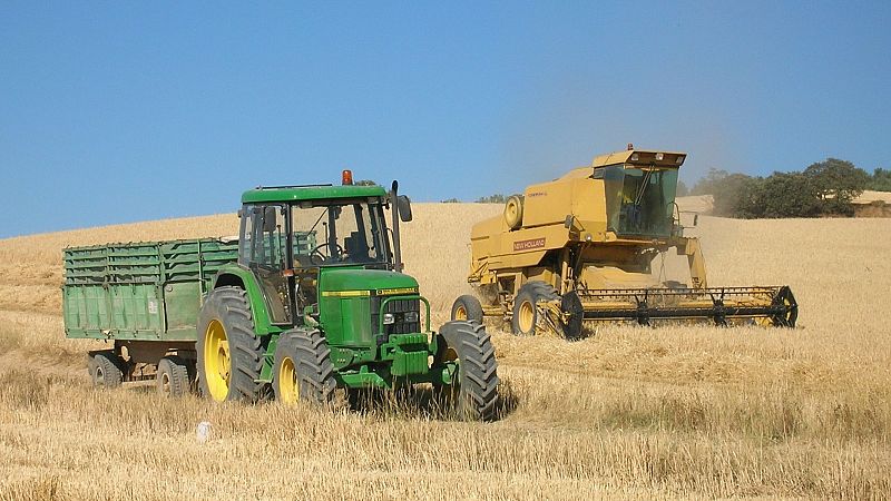 Entrevista a Jerònia Bonafè, presidenta Cooperatives agroalimentàries