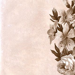 Mas de pura necesidad