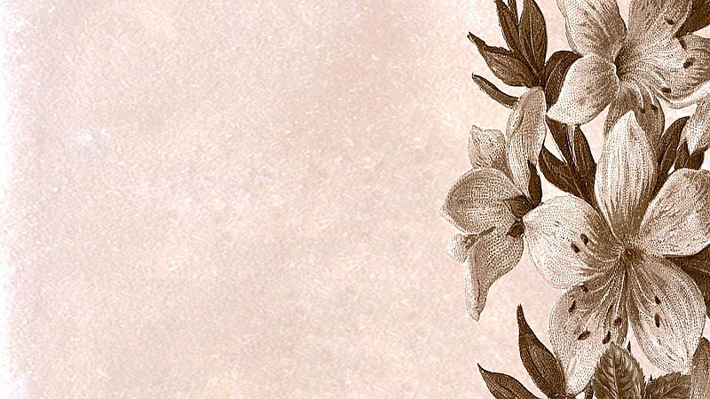 La ciudad silenciosa - M�s de pura necesidad - 15/03/26 - La ciudad silenciosa | Escuchar