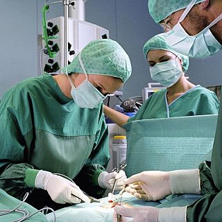 España, líder en trasplantes, afronta nuevos retos en EICR