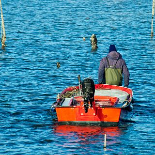 Cada vez más españoles conocen la labor de la acuicultura