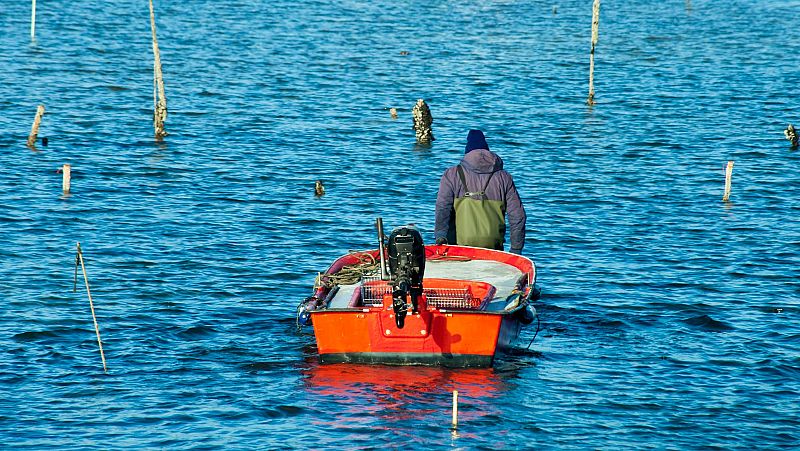 Cada vez más españoles conocen la labor de la acuicultura - Españoles en la mar | Escuchar