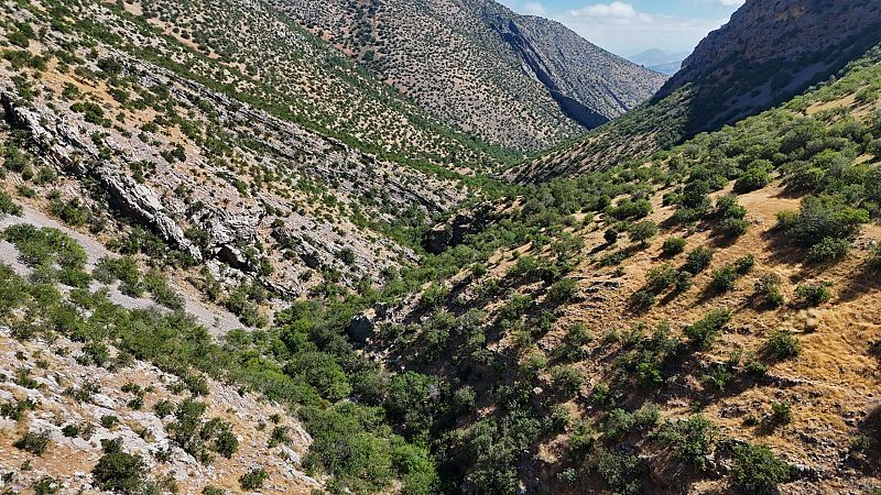 Escapadas - El cornetal del Barranco del Perú - 19/03/26 - Escuchar ahora