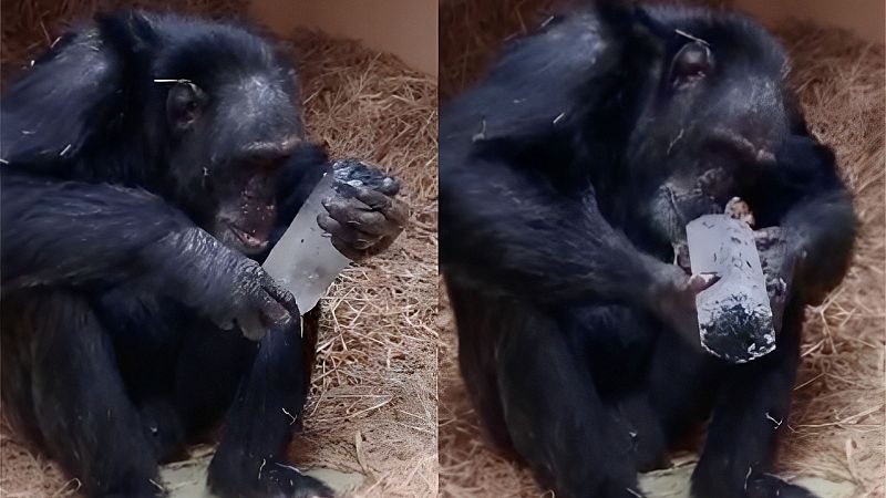 La fascinación de antepasados homínidos por los cristales - A golpe de bit | Escuchar