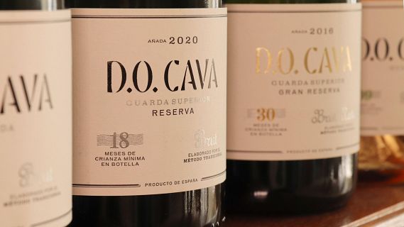 Les vendes de DO Cava cauen un 13% el 2025 per la sequera