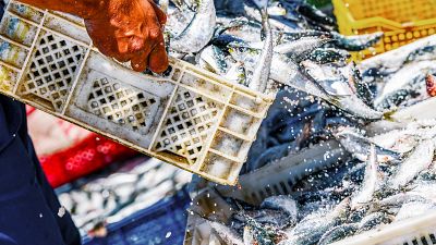 Los pescadores piden medidas por el alza de los carburantes