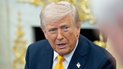 El escudo de las Américas