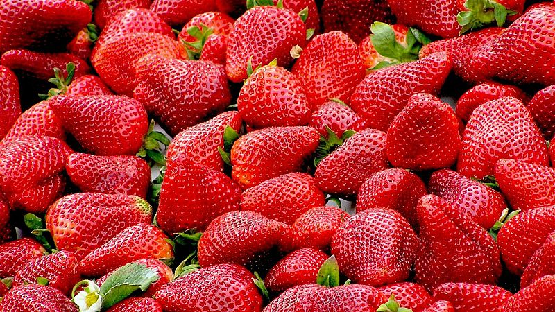 L'Entrellat - Recomanacions de la Ruscalleda per menjar el maduixots de temporada, cuina popular i la 16� People In Red - L'Entrellat | Escoltar