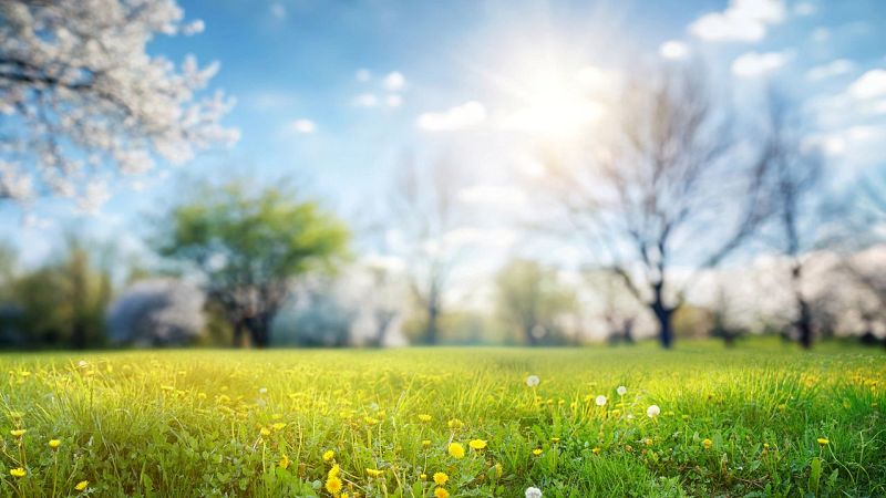 No es un día cualquiera - Del hecho al dicho | Escuchar