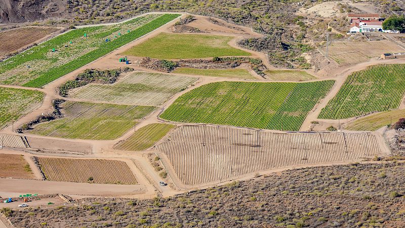 Mundo rural - PAC: Aniversario del Sigpac - 23/03/26 - Escuchar ahora
