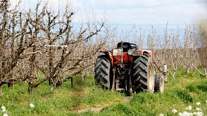 El sector agrari celebra la rebaixa de l'IVA, per� la veu insuficient