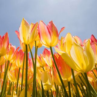 ¿Sabes diferenciar entre equinoccio y solsticio?