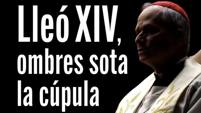El Pla B - Entrevista amb Vincen� Lozano - Gossos amb problemes de conducta amb Mari �ngels Calvo i Elisabet Carbonell - El pla B | Escoltar