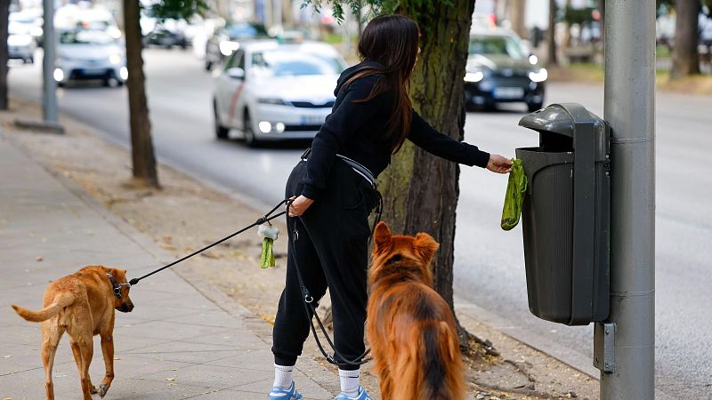 El despertador de RNE: ¿Son efectivas las campañas de civismo? - El despertador de RNE | Escuchar
