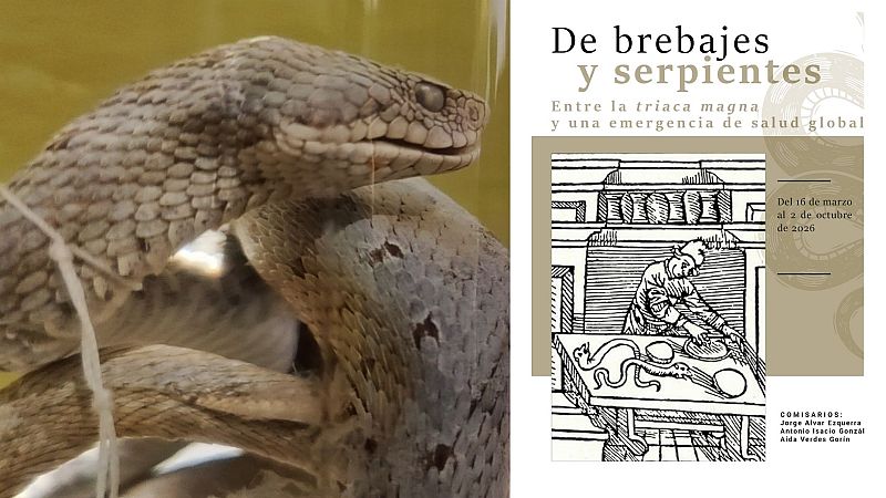 Escapadas - De brebajes y serpientes - 29/03/26 - Escuchar ahora