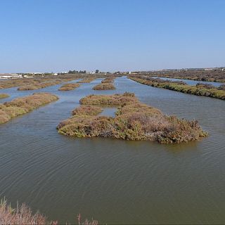 Esteros en el restaurante "A poniente"