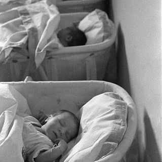 Maternidades robadas