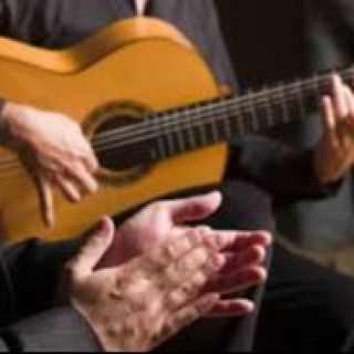 Proyectos de guitarristas cl�sicos y flamencos