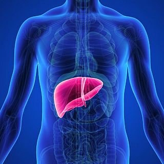 El fármaco que podría ayudar a tratar el cáncer de hígado