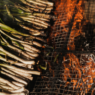 La millor cal�otada de Catalunya: 'Cal Ganxo' guanya un solet Repsol