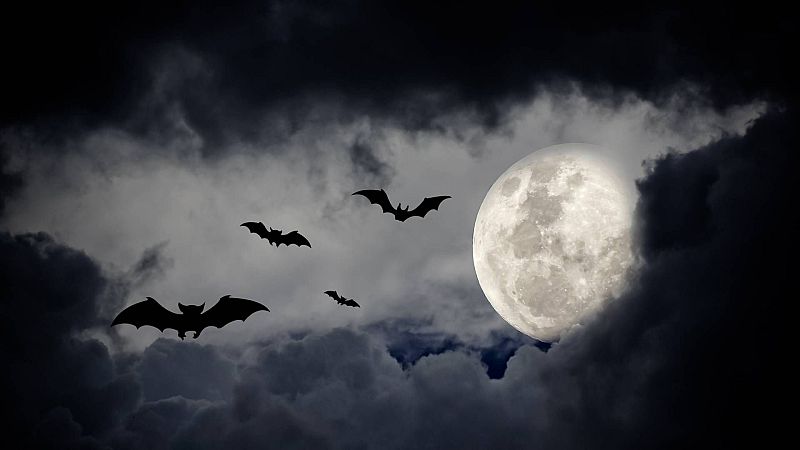 Espacio en blanco - Sombras nocturnas - 29/03/26 - Espacio en blanco | Escuchar