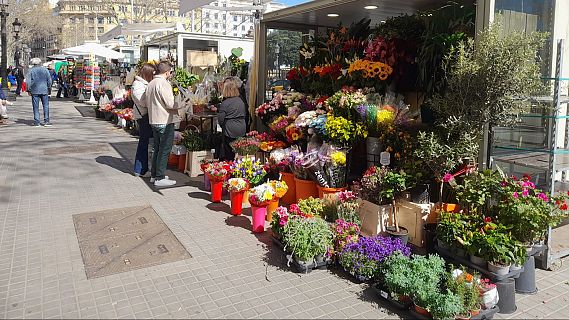 Les parades de flors de la Rambla estrenen ubicaci�