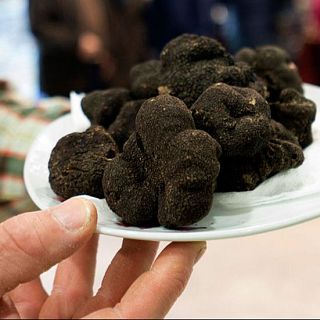 Trufa, setas y torreznos, ruta gourmet por tierras sorianas