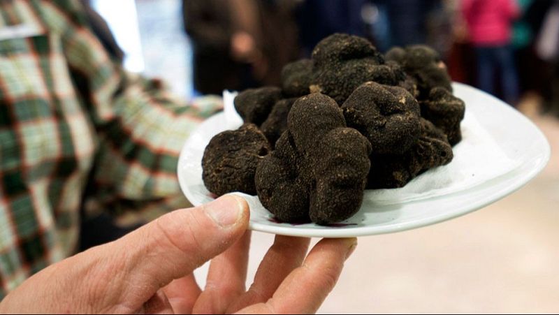 Trufa, setas y torreznos, ruta gourmet por tierras sorianas - En clave Turismo | Escuchar