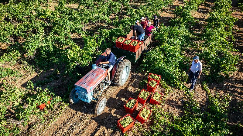 Mundo rural - PAC: Ayudas al campo por la crisis de la guerra - 30/03/26 - Escuchar ahora