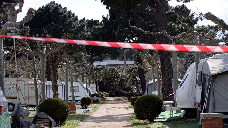 Ventades a Girona: els municipis retiren arbres caiguts mentre l'alerta continua | Escoltar