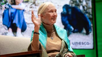 Declarado oficialmente el 3 de abril como el Día de Jane Goodall