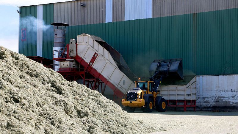 La guerra a l'Iran paralitza el comerç de farratge català | Escoltar