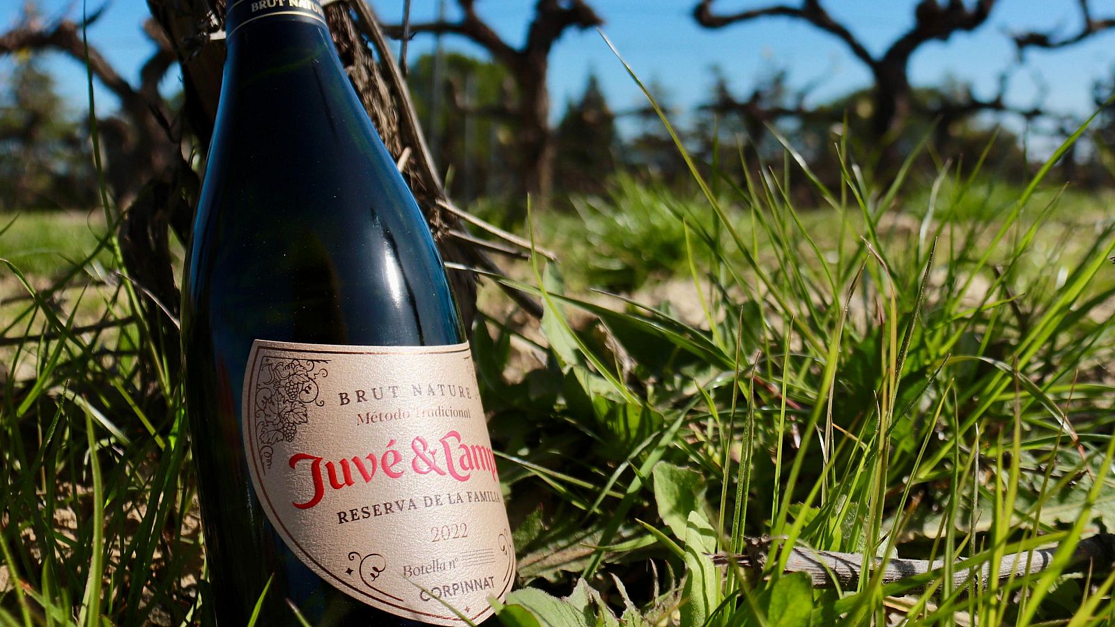 Juvé i Camps també deixa la DO Cava i s’incorpora a Corpinnat