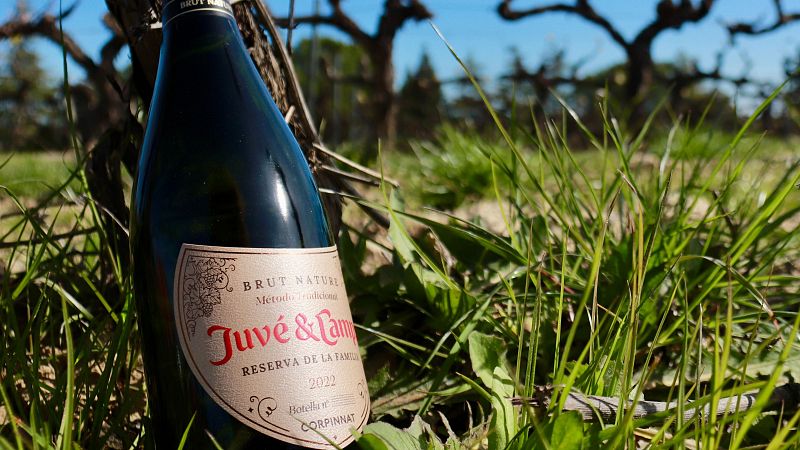 Juvé i Camps també deixa la DO Cava i s’incorpora a Corpinnat