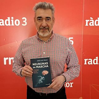 El sudor del ejercicio fertiliza el cerebro