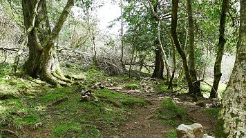 Yaya Bushcraft: "Construir cabanes �s un vici brutal"