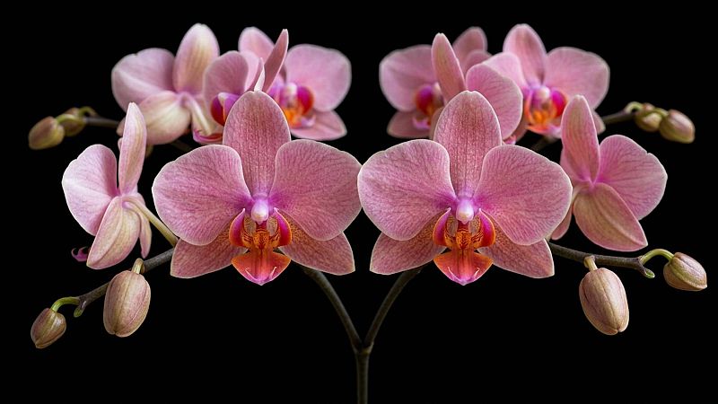 Derivas - A love worth - 02/04/26 - Derivas | Escuchar